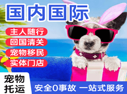 徕宁空运地址国际宠物托运 【国